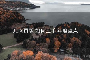 91网页版 如何上手 年度盘点