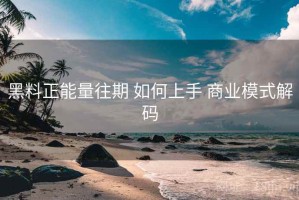 黑料正能量往期 如何上手 商业模式解码