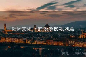 社区文化 下的 努努影视 机会