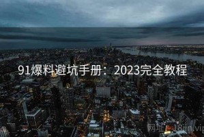 91爆料避坑手册：2023完全教程