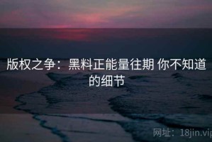 版权之争：黑料正能量往期 你不知道的细节