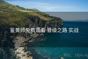 鉴黄师免费观看 晋级之路 实战