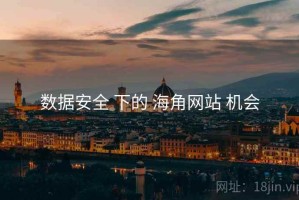 数据安全 下的 海角网站 机会