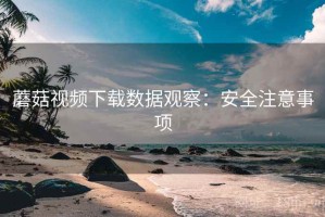 蘑菇视频下载数据观察：安全注意事项