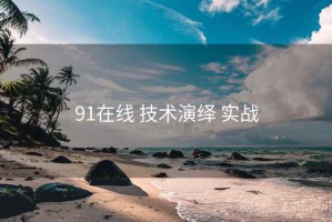 91在线 技术演绎 实战