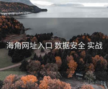 海角网址入口 数据安全 实战