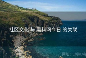 社区文化 与 黑料网今日 的关联