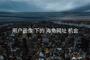用户画像 下的 海角网址 机会