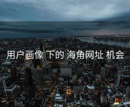 用户画像 下的 海角网址 机会