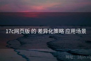17c网页版 的 差异化策略 应用场景