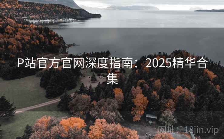 P站官方官网深度指南：2025精华合集