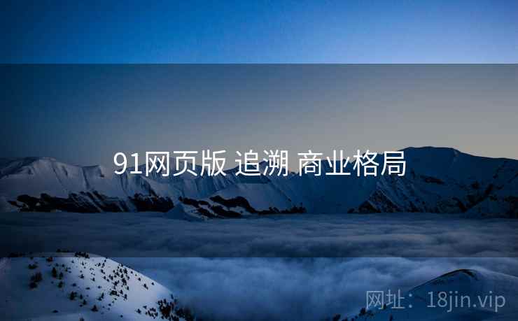91网页版 追溯 商业格局