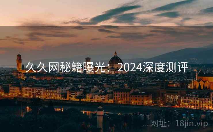 久久网秘籍曝光：2024深度测评
