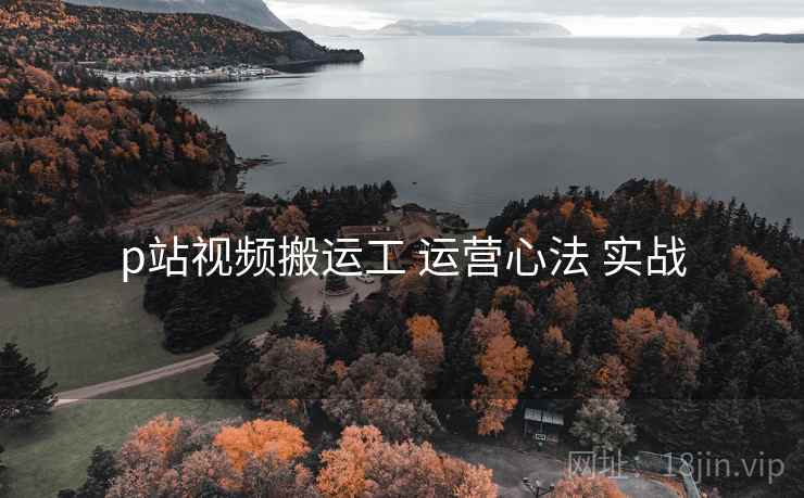 p站视频搬运工 运营心法 实战