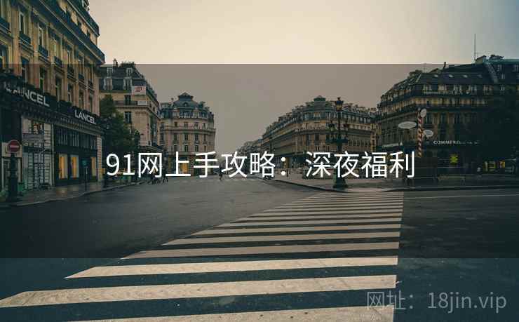 91网上手攻略：深夜福利