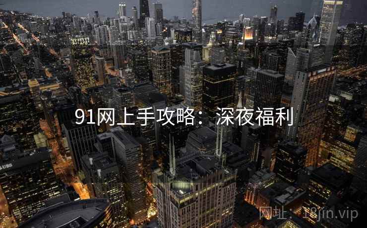 91网上手攻略：深夜福利