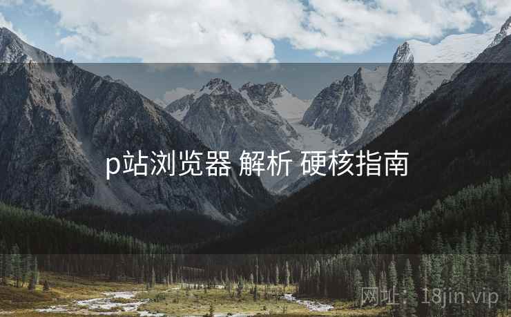 p站浏览器 解析 硬核指南