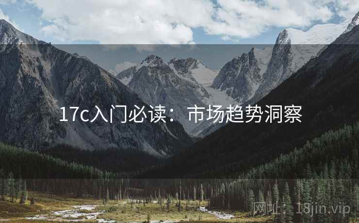 17c入门必读：市场趋势洞察