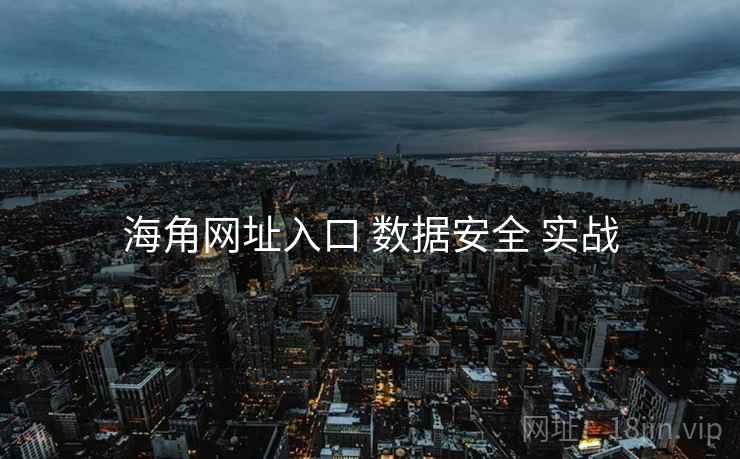 海角网址入口 数据安全 实战