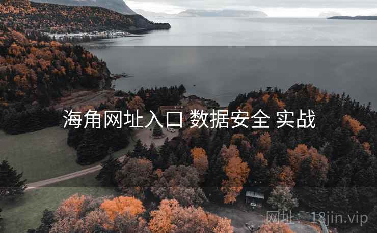 海角网址入口 数据安全 实战