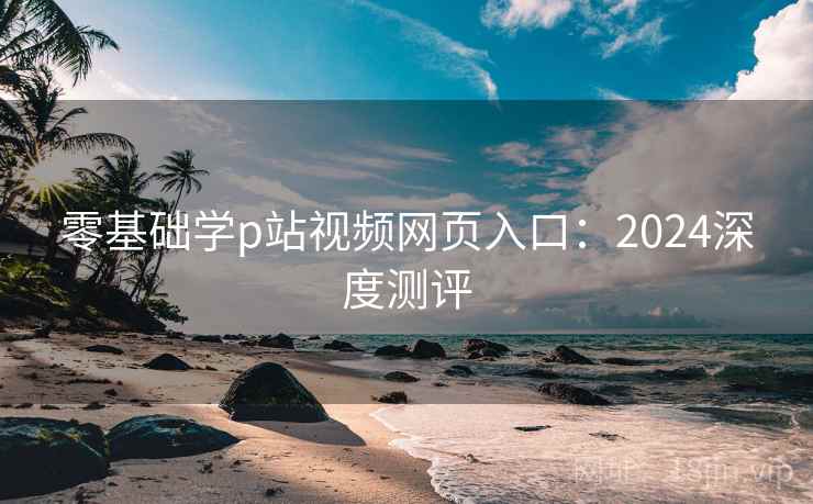 零基础学p站视频网页入口：2024深度测评