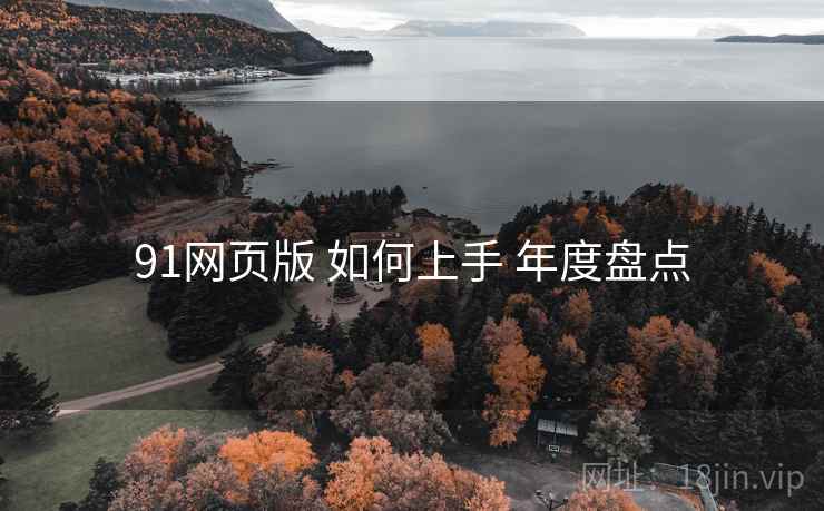 91网页版 如何上手 年度盘点