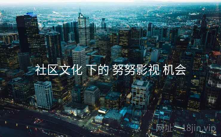 社区文化 下的 努努影视 机会