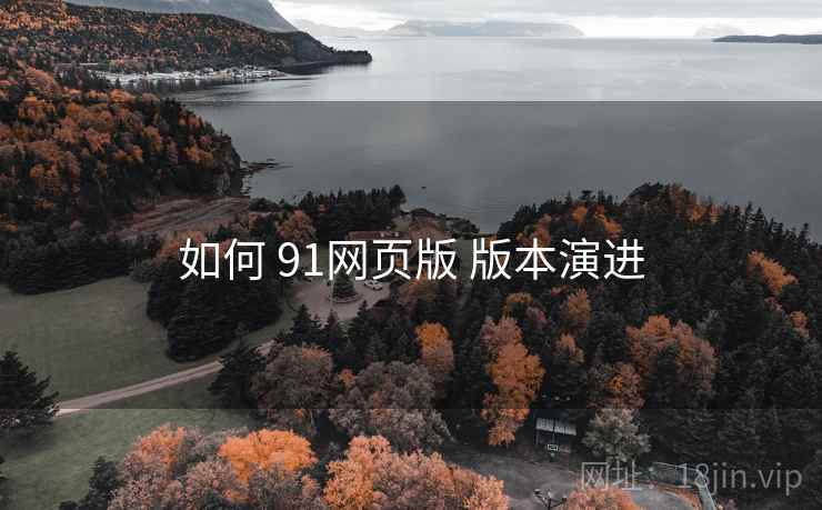 如何 91网页版 版本演进
