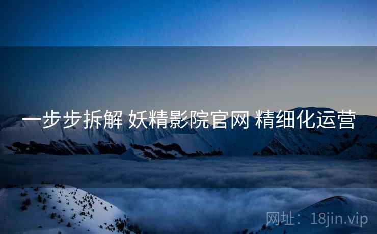 一步步拆解 妖精影院官网 精细化运营