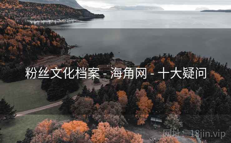 粉丝文化档案 - 海角网 - 十大疑问