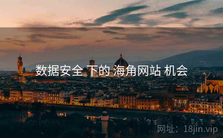 数据安全 下的 海角网站 机会