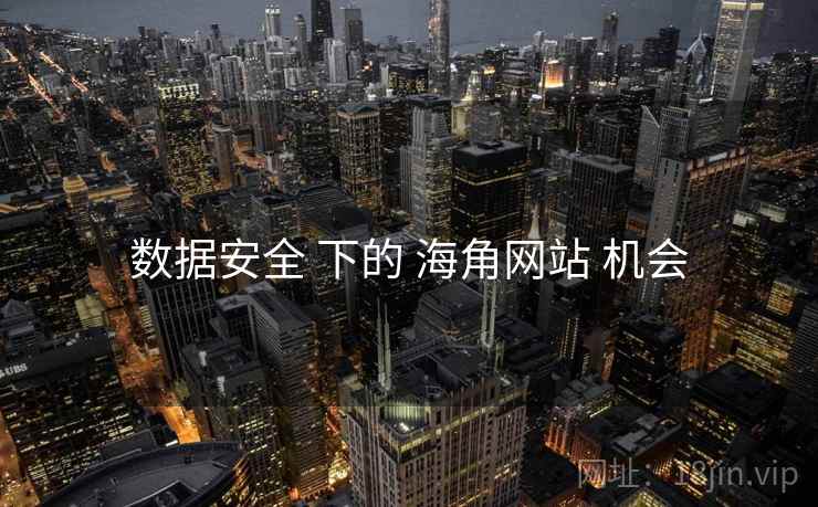 数据安全 下的 海角网站 机会