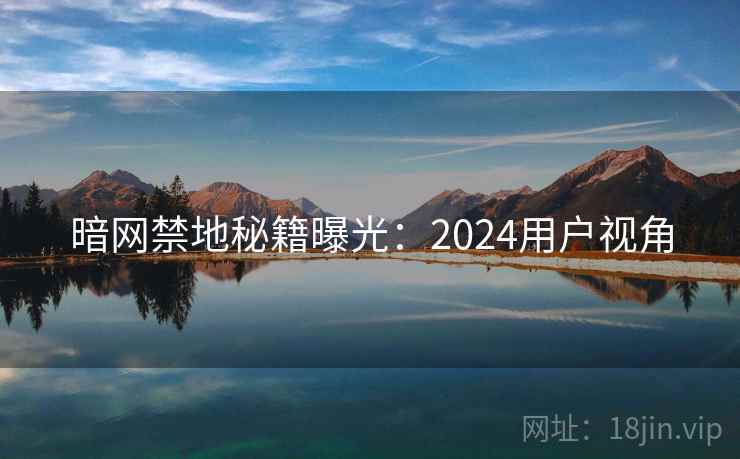 暗网禁地秘籍曝光：2024用户视角