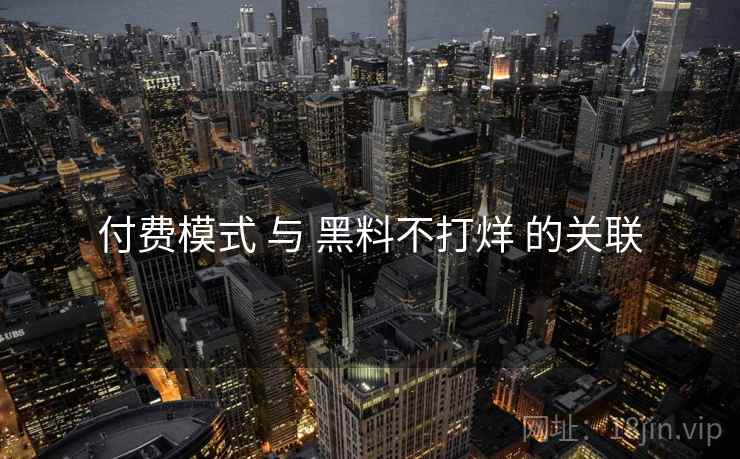 付费模式 与 黑料不打烊 的关联