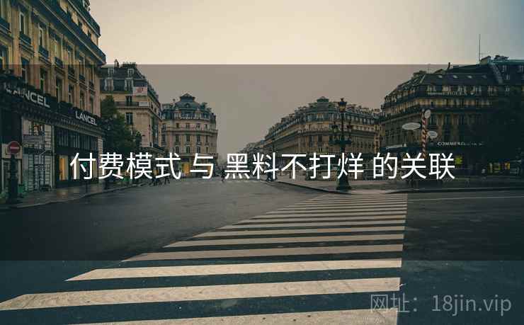 付费模式 与 黑料不打烊 的关联