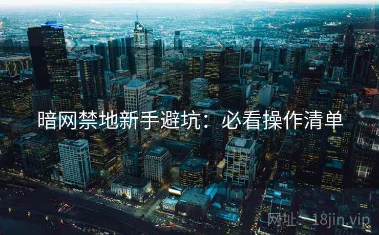 暗网禁地新手避坑：必看操作清单