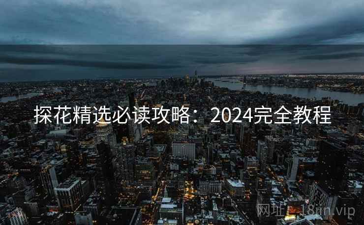 探花精选必读攻略：2024完全教程