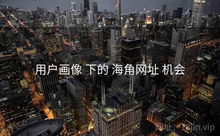用户画像 下的 海角网址 机会