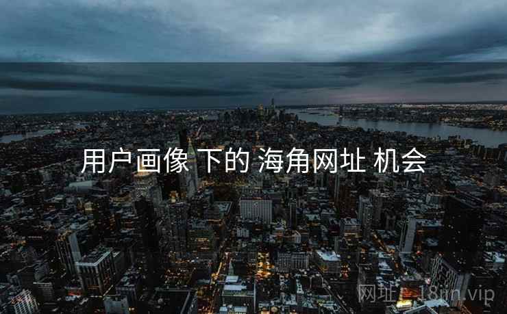用户画像 下的 海角网址 机会
