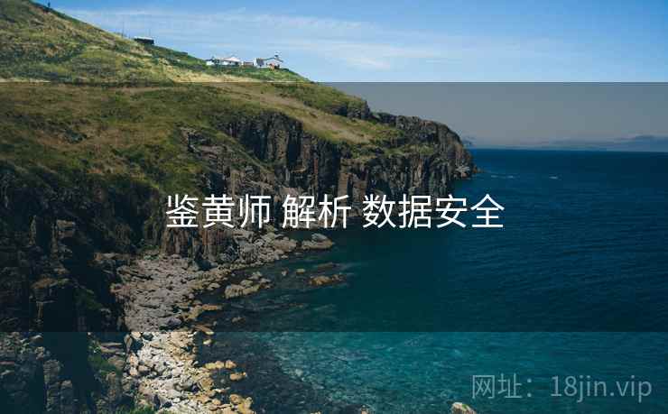 鉴黄师 解析 数据安全