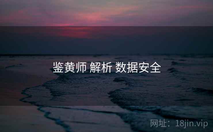 鉴黄师 解析 数据安全